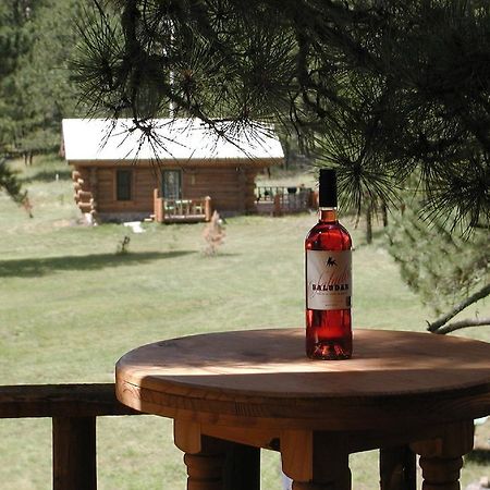 Renegade Log Cabin Custer Extérieur photo